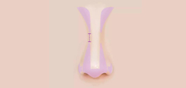 【杨子美学教育】不同鼻型的鼻影画法！